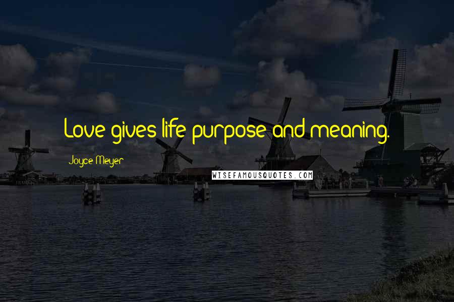 Joyce Meyer Quotes: Love gives life purpose and meaning.