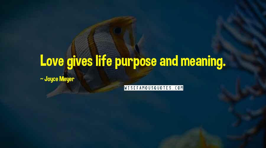 Joyce Meyer Quotes: Love gives life purpose and meaning.