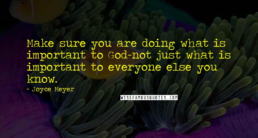 Joyce Meyer Quotes: Make sure you are doing what is important to God-not just what is important to everyone else you know.