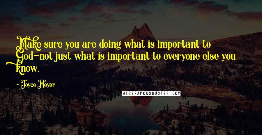 Joyce Meyer Quotes: Make sure you are doing what is important to God-not just what is important to everyone else you know.
