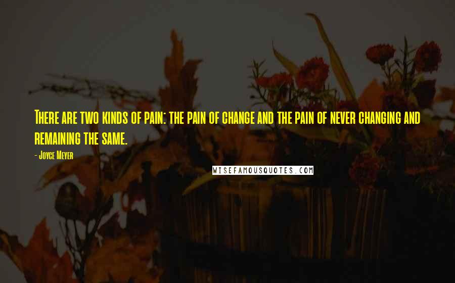 Joyce Meyer Quotes: There are two kinds of pain: the pain of change and the pain of never changing and remaining the same.