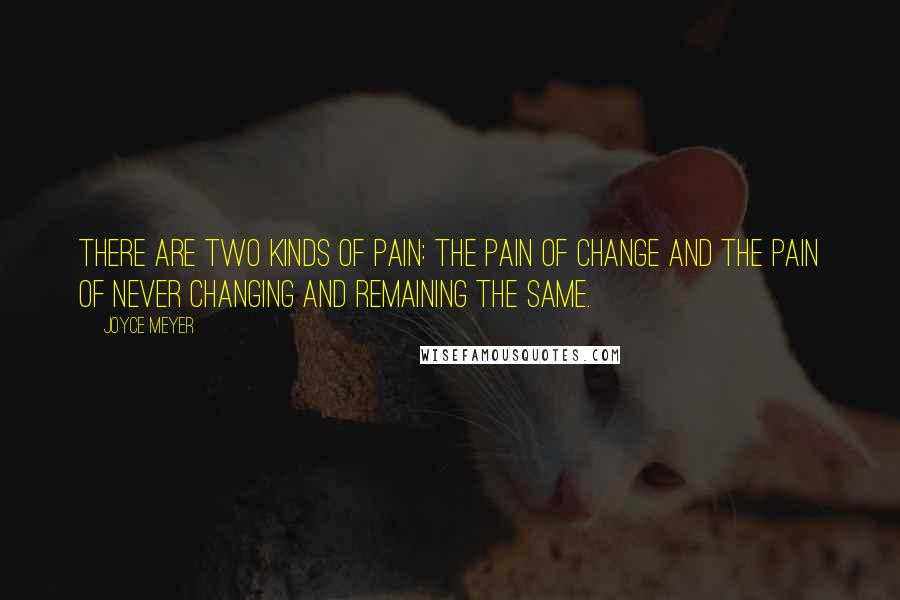 Joyce Meyer Quotes: There are two kinds of pain: the pain of change and the pain of never changing and remaining the same.