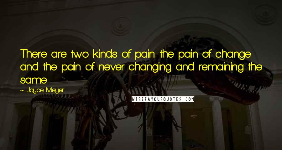 Joyce Meyer Quotes: There are two kinds of pain: the pain of change and the pain of never changing and remaining the same.