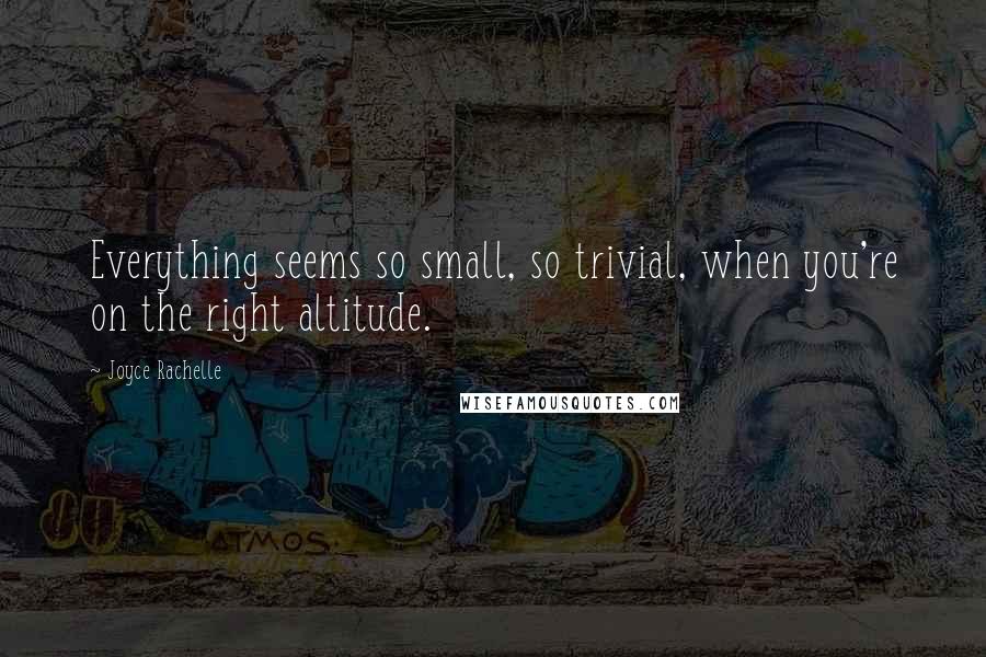 Joyce Rachelle Quotes: Everything seems so small, so trivial, when you're on the right altitude.