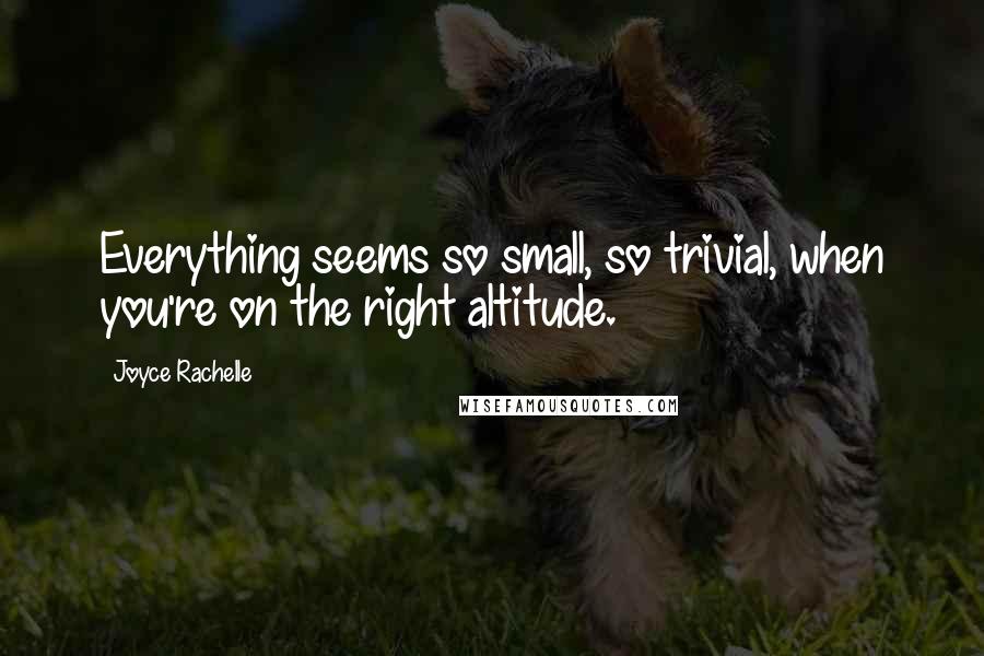 Joyce Rachelle Quotes: Everything seems so small, so trivial, when you're on the right altitude.
