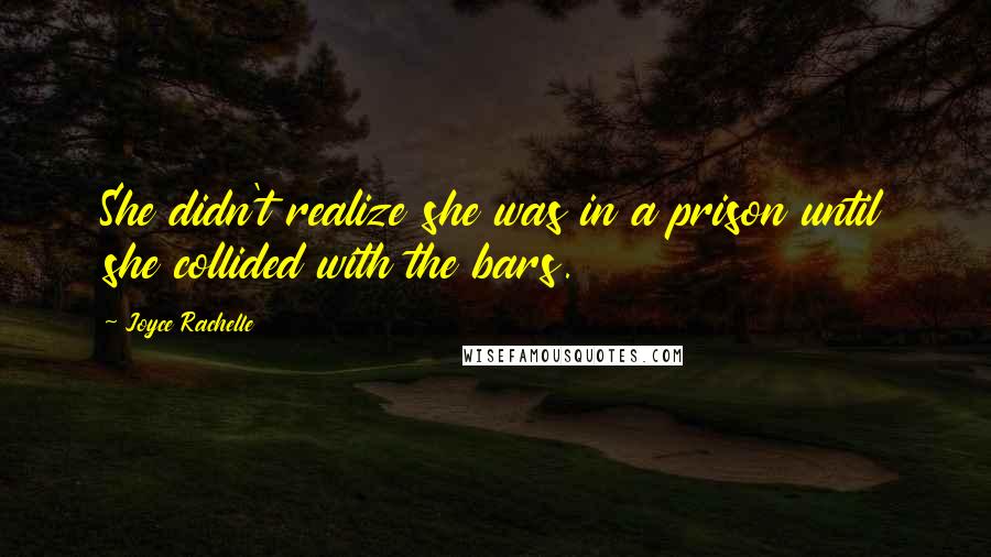 Joyce Rachelle Quotes: She didn't realize she was in a prison until she collided with the bars.