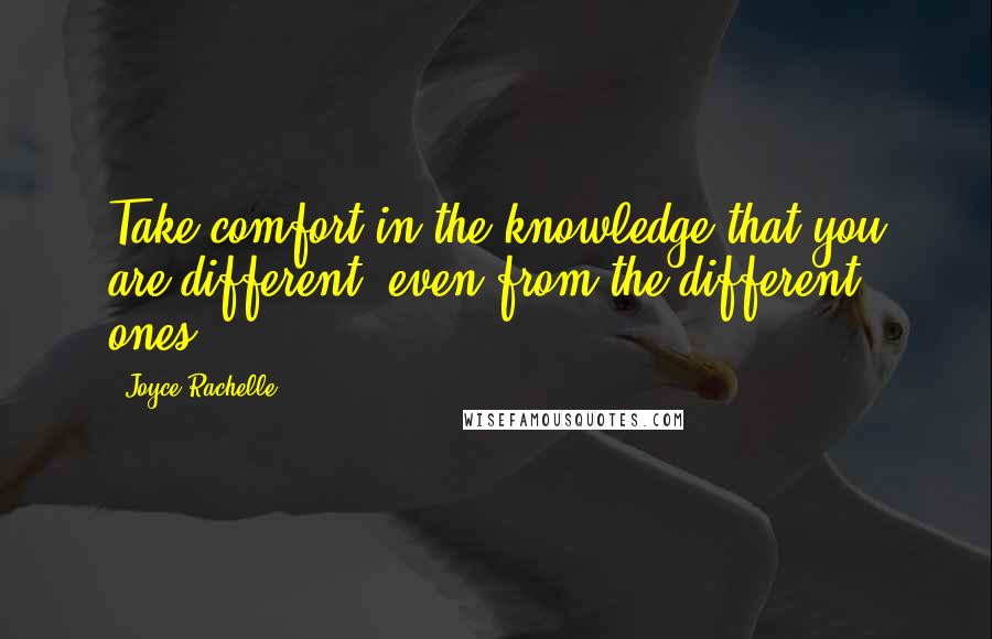 Joyce Rachelle Quotes: Take comfort in the knowledge that you are different, even from the different ones.