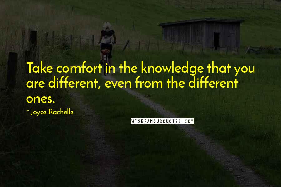 Joyce Rachelle Quotes: Take comfort in the knowledge that you are different, even from the different ones.