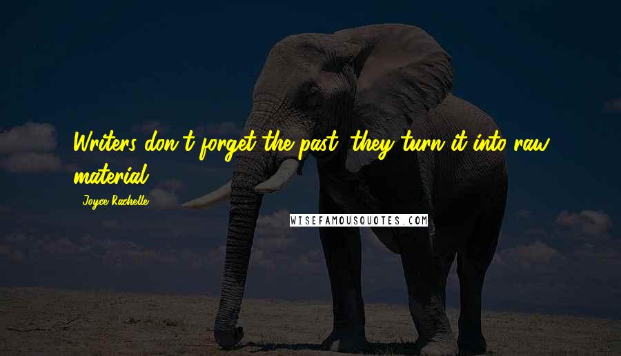 Joyce Rachelle Quotes: Writers don't forget the past; they turn it into raw material.