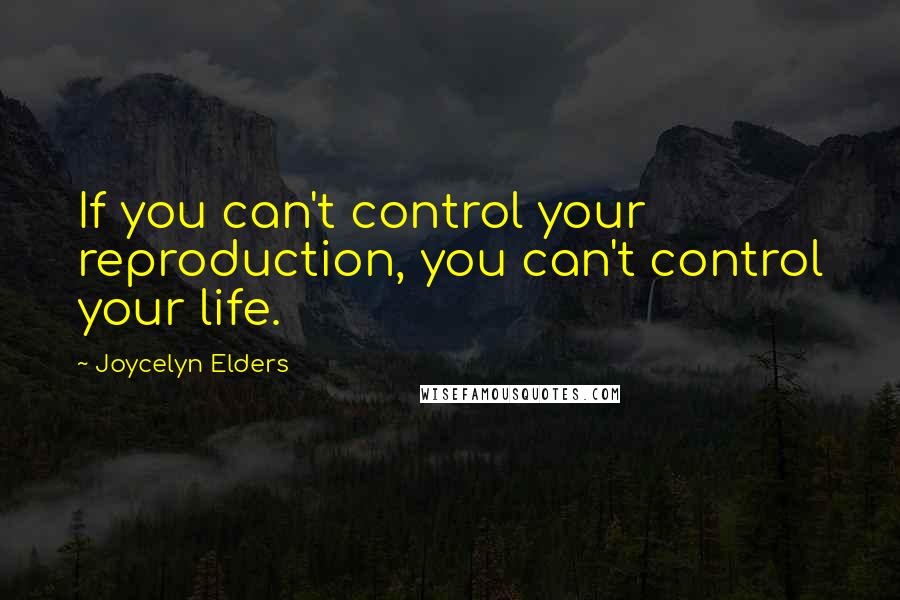 Joycelyn Elders Quotes: If you can't control your reproduction, you can't control your life.