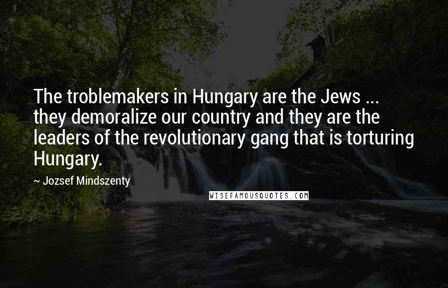 Jozsef Mindszenty Quotes: The troblemakers in Hungary are the Jews ... they demoralize our country and they are the leaders of the revolutionary gang that is torturing Hungary.