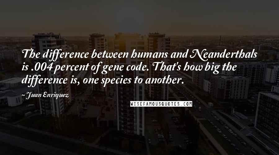 Juan Enriquez Quotes: The difference between humans and Neanderthals is .004 percent of gene code. That's how big the difference is, one species to another.
