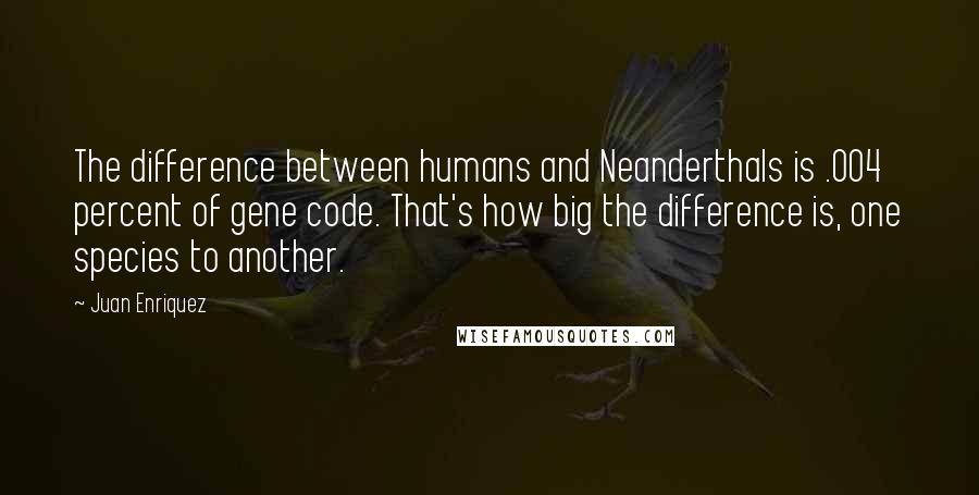 Juan Enriquez Quotes: The difference between humans and Neanderthals is .004 percent of gene code. That's how big the difference is, one species to another.