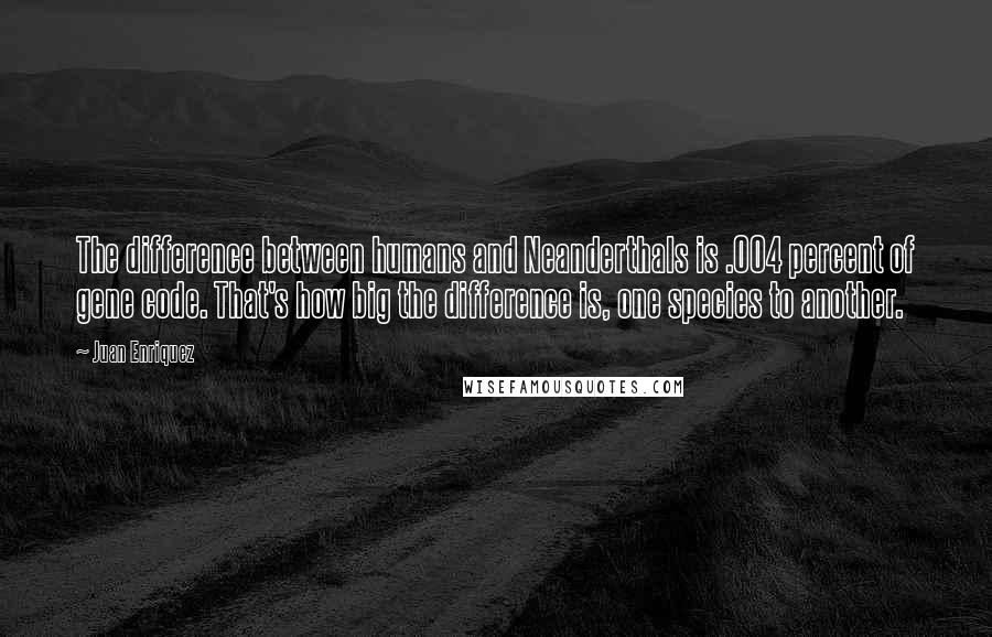 Juan Enriquez Quotes: The difference between humans and Neanderthals is .004 percent of gene code. That's how big the difference is, one species to another.