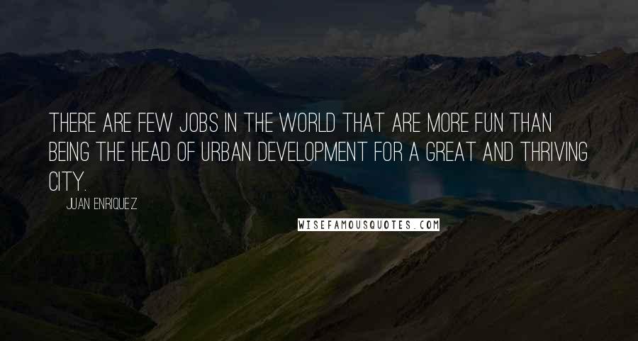 Juan Enriquez Quotes: There are few jobs in the world that are more fun than being the head of Urban Development for a great and thriving city.