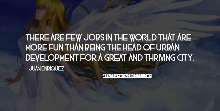 Juan Enriquez Quotes: There are few jobs in the world that are more fun than being the head of Urban Development for a great and thriving city.