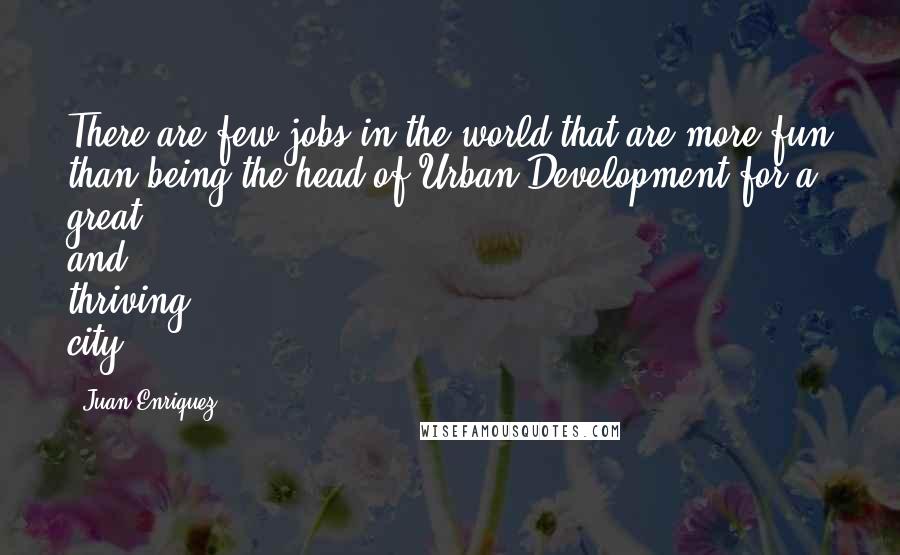 Juan Enriquez Quotes: There are few jobs in the world that are more fun than being the head of Urban Development for a great and thriving city.