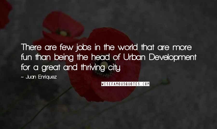 Juan Enriquez Quotes: There are few jobs in the world that are more fun than being the head of Urban Development for a great and thriving city.