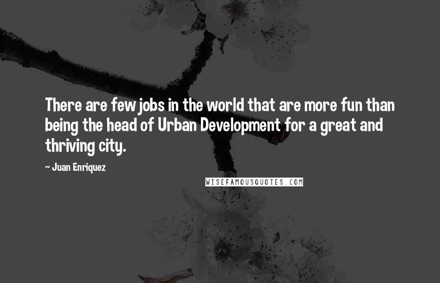 Juan Enriquez Quotes: There are few jobs in the world that are more fun than being the head of Urban Development for a great and thriving city.