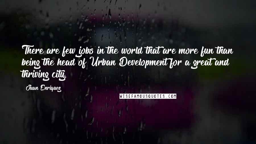 Juan Enriquez Quotes: There are few jobs in the world that are more fun than being the head of Urban Development for a great and thriving city.