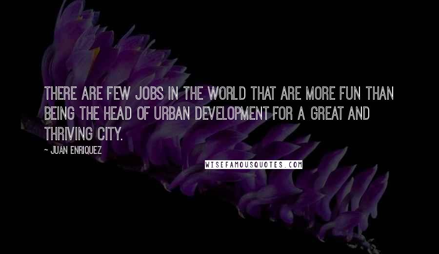 Juan Enriquez Quotes: There are few jobs in the world that are more fun than being the head of Urban Development for a great and thriving city.