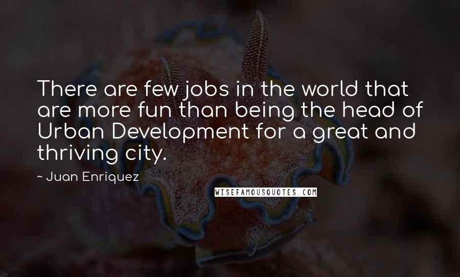 Juan Enriquez Quotes: There are few jobs in the world that are more fun than being the head of Urban Development for a great and thriving city.