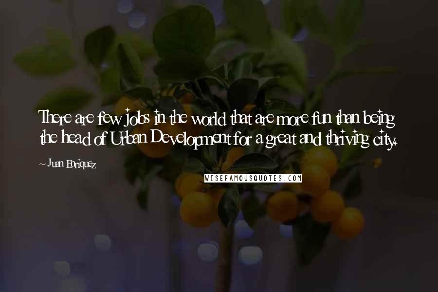 Juan Enriquez Quotes: There are few jobs in the world that are more fun than being the head of Urban Development for a great and thriving city.