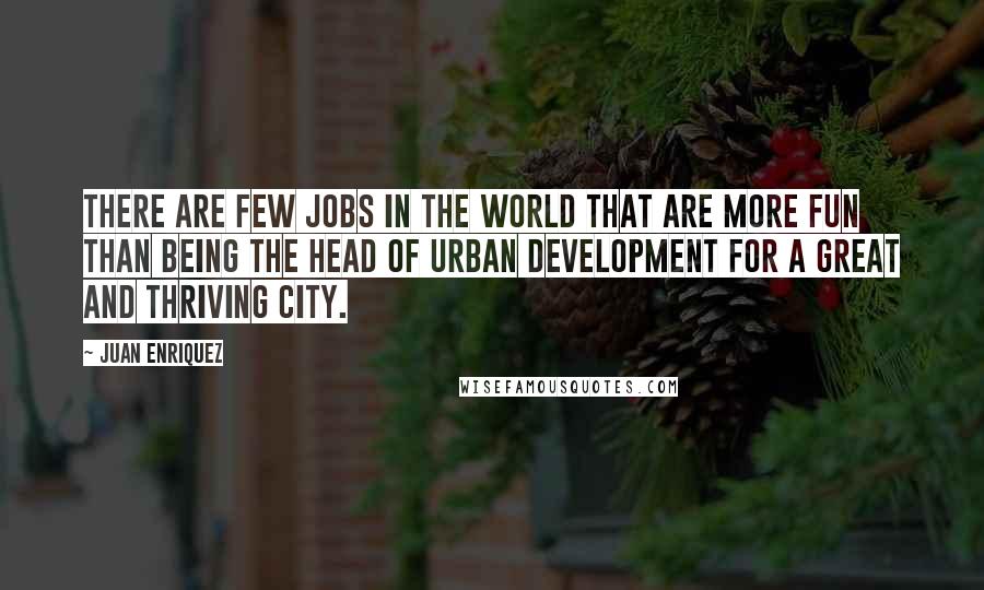 Juan Enriquez Quotes: There are few jobs in the world that are more fun than being the head of Urban Development for a great and thriving city.