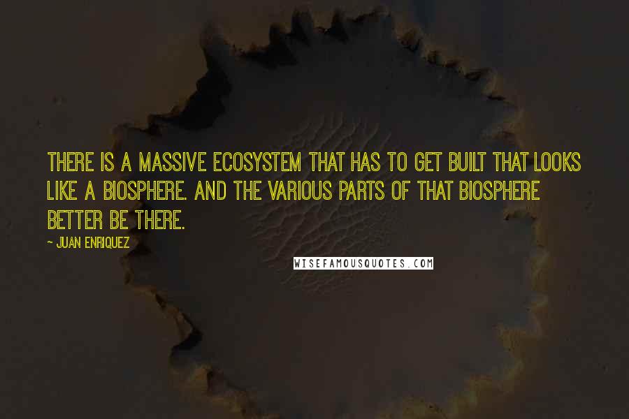 Juan Enriquez Quotes: There is a massive ecosystem that has to get built that looks like a biosphere. And the various parts of that biosphere better be there.