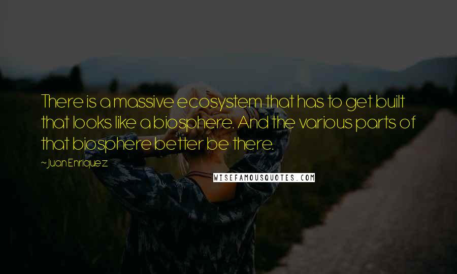 Juan Enriquez Quotes: There is a massive ecosystem that has to get built that looks like a biosphere. And the various parts of that biosphere better be there.