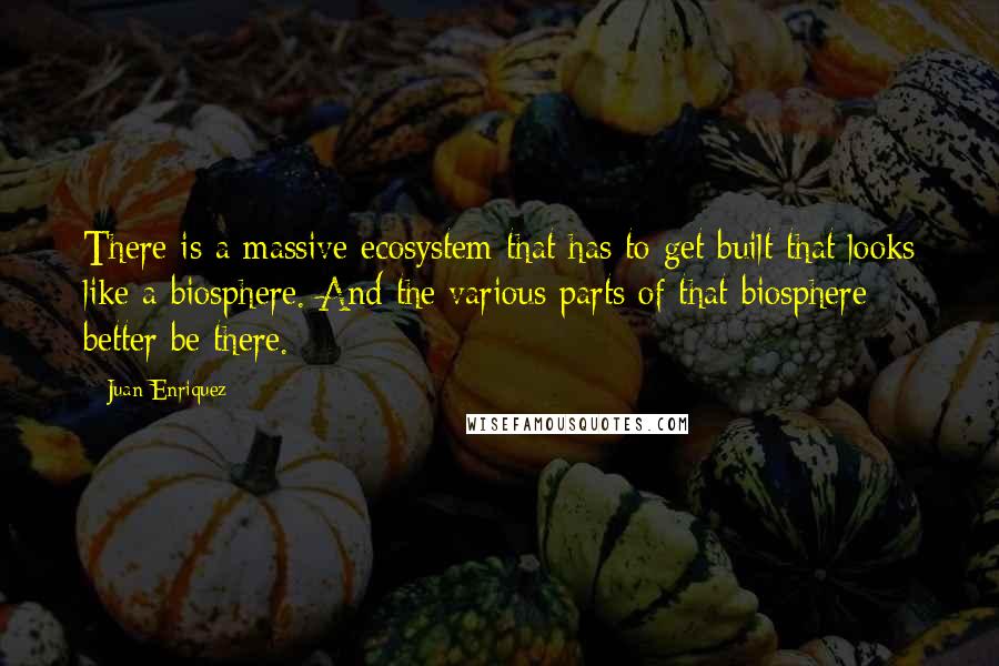 Juan Enriquez Quotes: There is a massive ecosystem that has to get built that looks like a biosphere. And the various parts of that biosphere better be there.