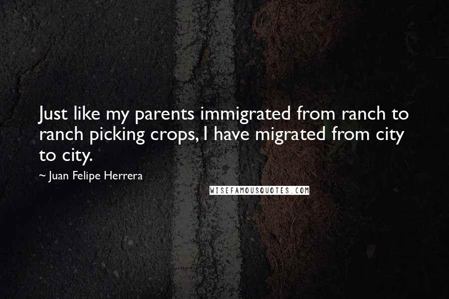 Juan Felipe Herrera Quotes: Just like my parents immigrated from ranch to ranch picking crops, I have migrated from city to city.