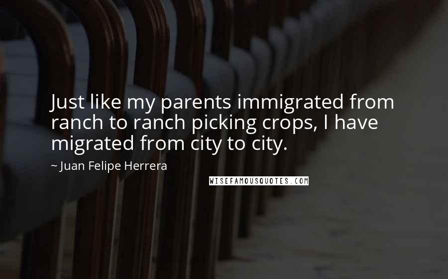 Juan Felipe Herrera Quotes: Just like my parents immigrated from ranch to ranch picking crops, I have migrated from city to city.