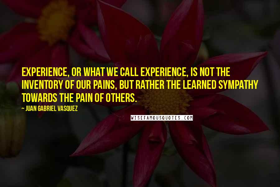Juan Gabriel Vasquez Quotes: Experience, or what we call experience, is not the inventory of our pains, but rather the learned sympathy towards the pain of others.