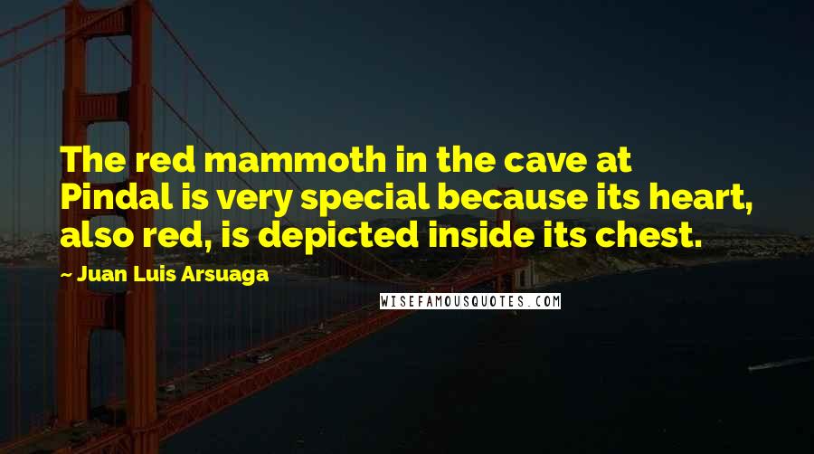 Juan Luis Arsuaga Quotes: The red mammoth in the cave at Pindal is very special because its heart, also red, is depicted inside its chest.