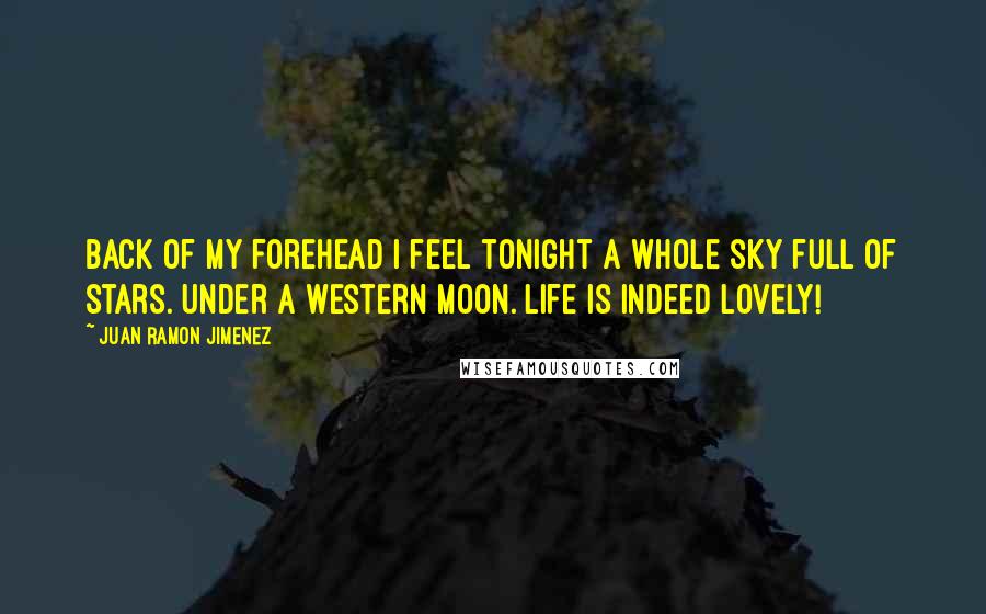 Juan Ramon Jimenez Quotes: Back of my forehead I feel tonight A whole sky full of stars. Under a western moon. Life is indeed lovely!
