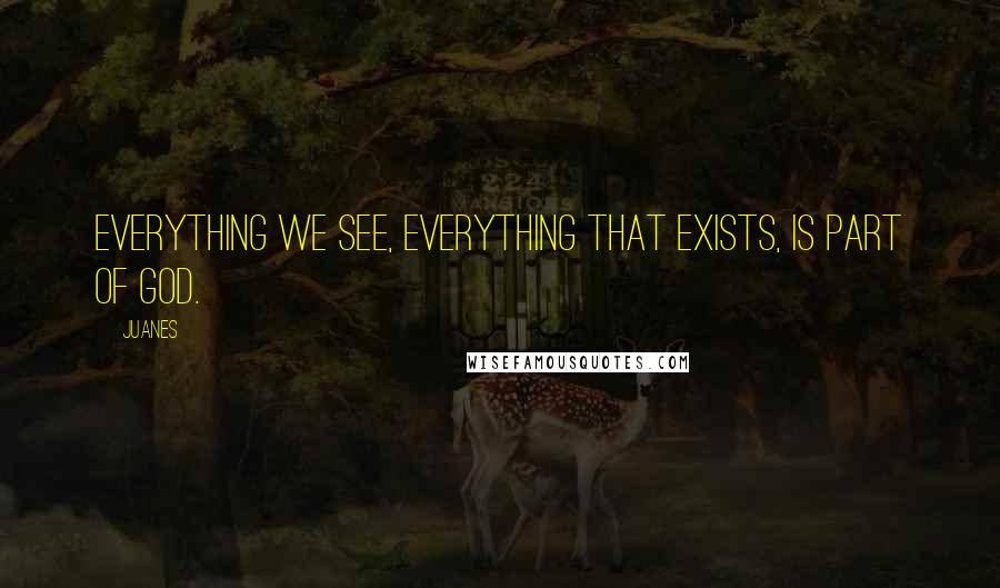 Juanes Quotes: Everything we see, everything that exists, is part of God.