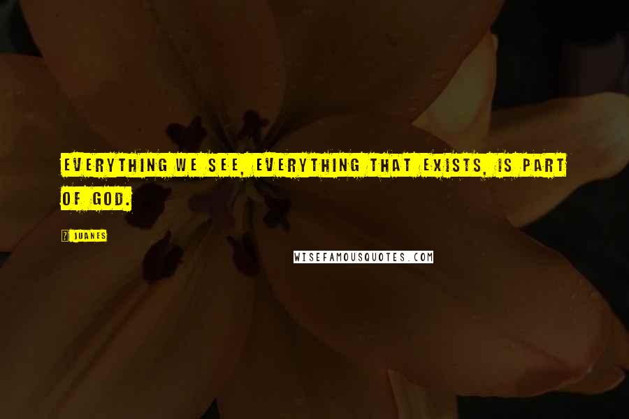 Juanes Quotes: Everything we see, everything that exists, is part of God.