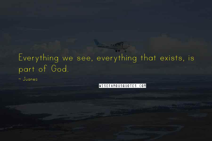 Juanes Quotes: Everything we see, everything that exists, is part of God.