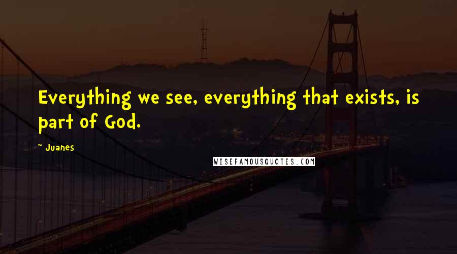 Juanes Quotes: Everything we see, everything that exists, is part of God.