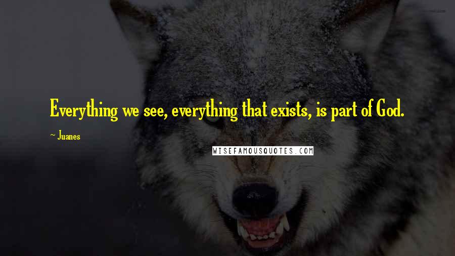 Juanes Quotes: Everything we see, everything that exists, is part of God.