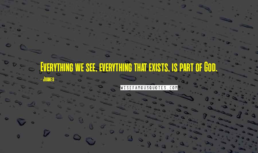 Juanes Quotes: Everything we see, everything that exists, is part of God.