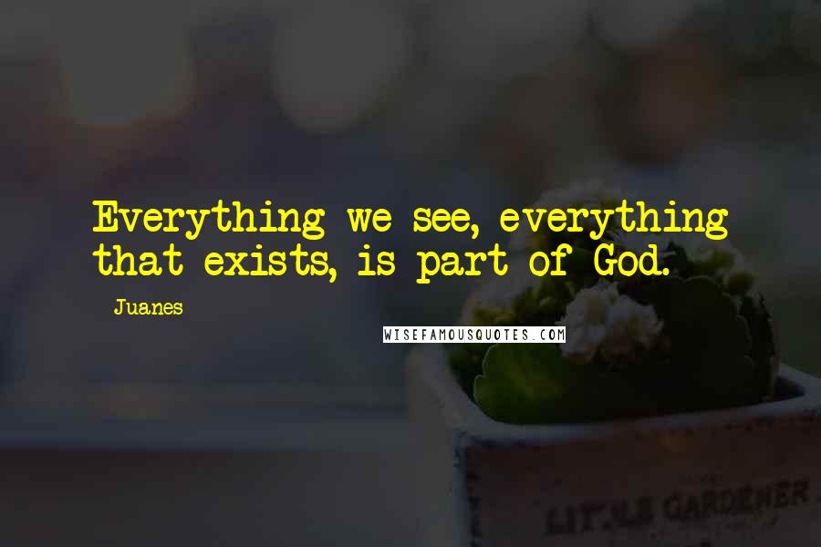 Juanes Quotes: Everything we see, everything that exists, is part of God.