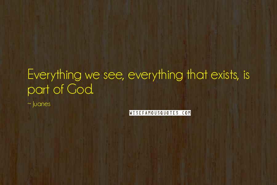 Juanes Quotes: Everything we see, everything that exists, is part of God.