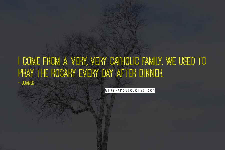 Juanes Quotes: I come from a very, very Catholic family. We used to pray the rosary every day after dinner.