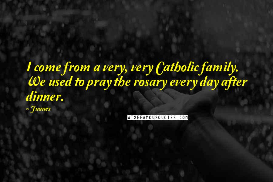 Juanes Quotes: I come from a very, very Catholic family. We used to pray the rosary every day after dinner.