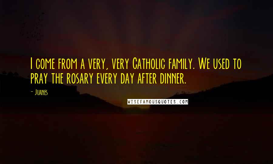 Juanes Quotes: I come from a very, very Catholic family. We used to pray the rosary every day after dinner.