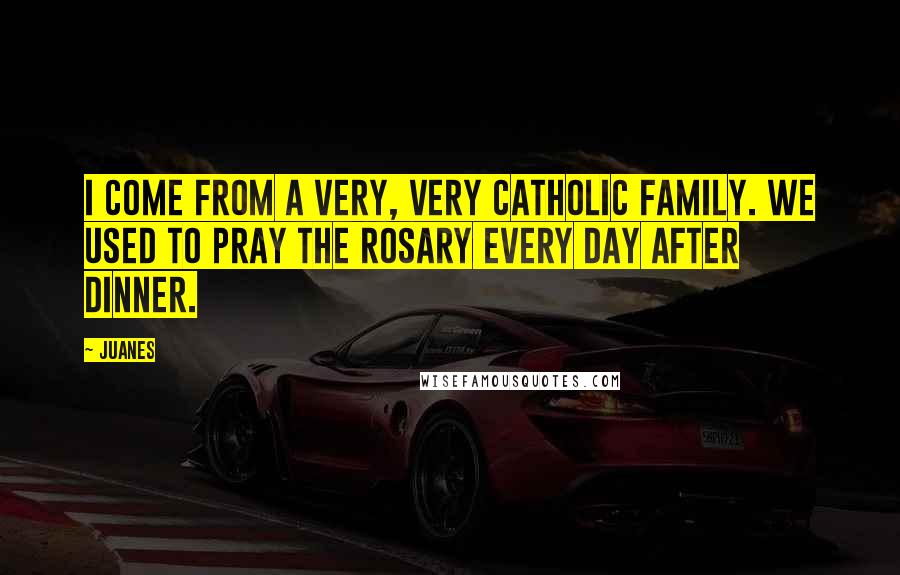 Juanes Quotes: I come from a very, very Catholic family. We used to pray the rosary every day after dinner.