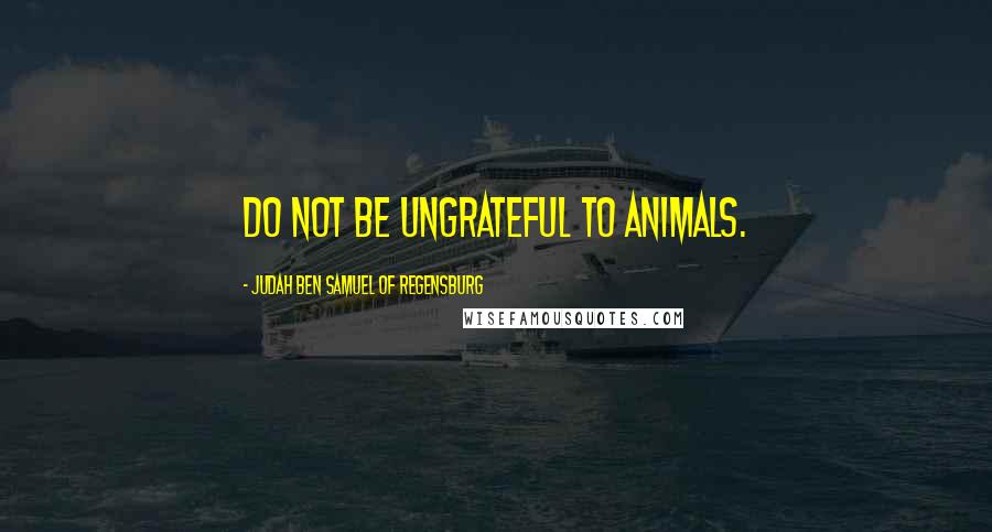 Judah Ben Samuel Of Regensburg Quotes: Do not be ungrateful to animals.