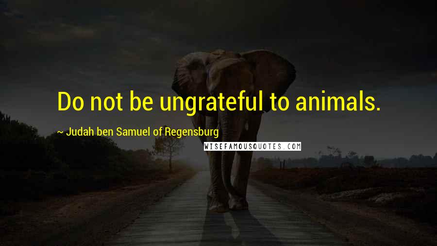 Judah Ben Samuel Of Regensburg Quotes: Do not be ungrateful to animals.